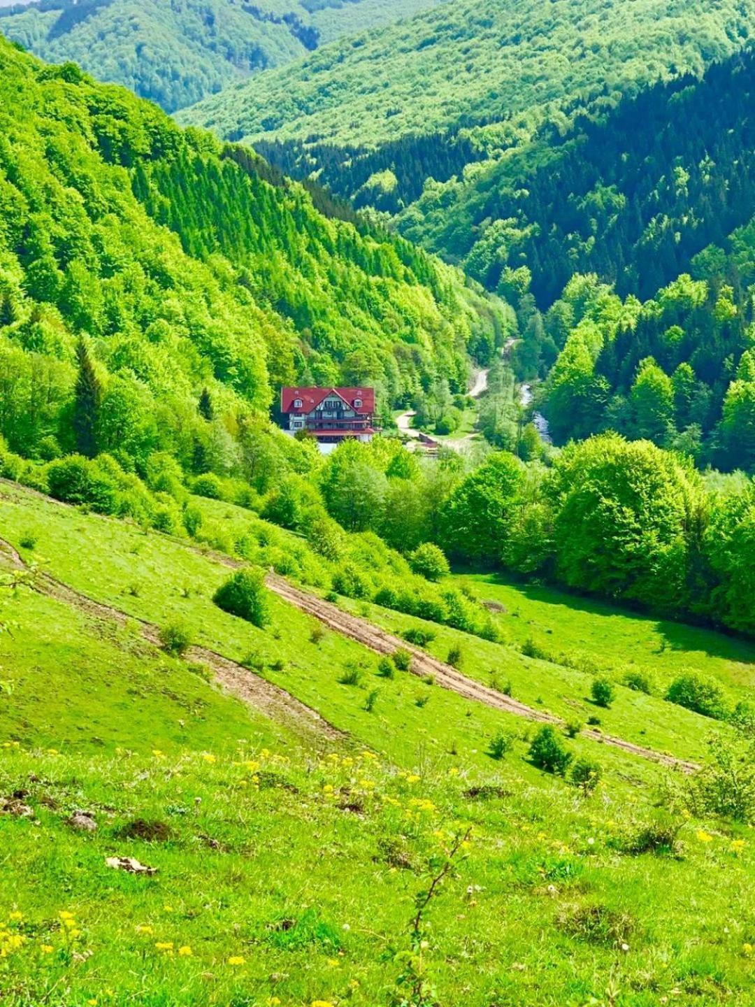 Cabana Izvoarele Doftanei Trăisteni المظهر الخارجي الصورة